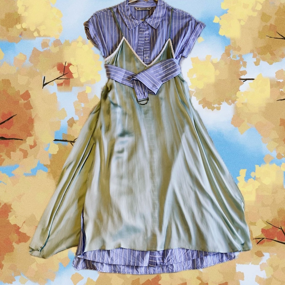 Very unique two layers(silk on top and long shirt dress! 🎏🦋